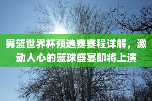 男篮世界杯预选赛赛程详解，激动人心的篮球盛宴即将上演