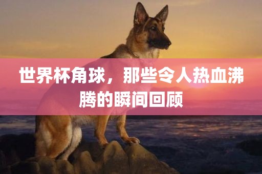 世界杯角球，那些令人热血沸腾的瞬间回吉安市靖泰电力工程有限公司顾