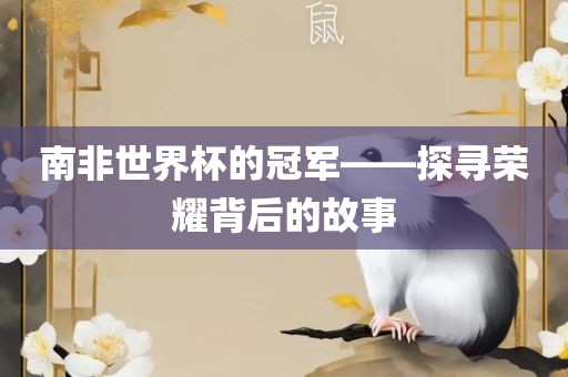 南非世界杯的冠军——探寻荣耀背后的故事