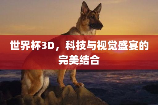 世界杯3D，科技与视觉盛宴的完美结合吉安市靖泰电力工程有限公司