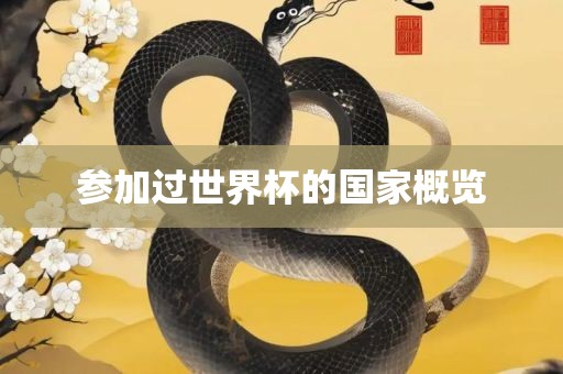 参加过世界杯的国家概览吉安市靖泰电力工程有限公司