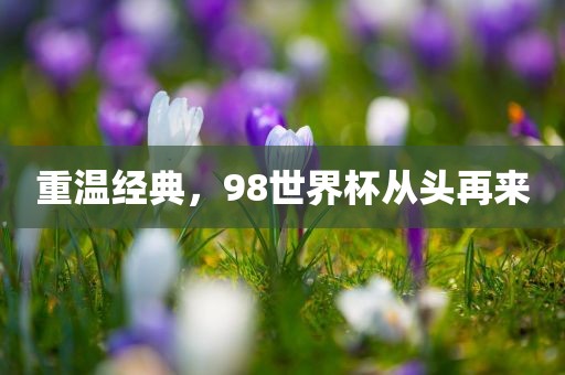 重温经典，98世界杯从头再来吉安市靖泰电力工程有限公司