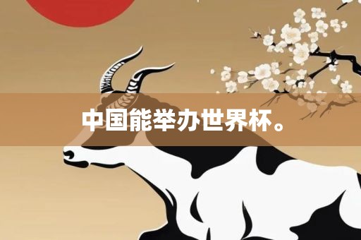 中国能举办世界杯。