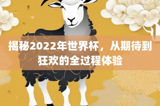 揭秘2022年世界杯，从期待到狂欢的全过程体验吉安市靖泰电力工程有限公司
