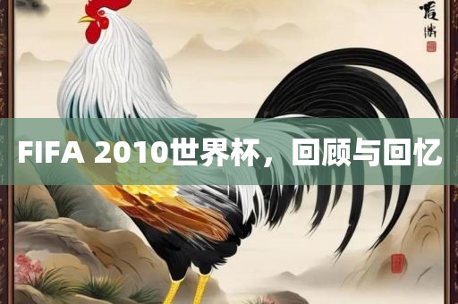 FIF吉安市靖泰电力工程有限公司A 2010世界杯，回顾与回忆