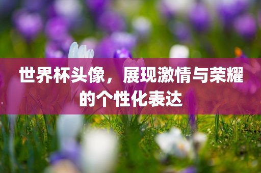 世界杯头像，展现激情与荣耀的个性化表达吉安市靖泰电力工程有限公司