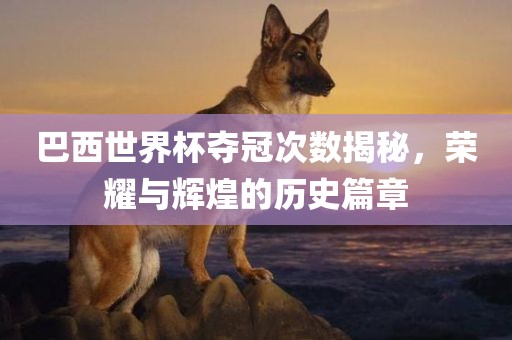巴西世界杯夺冠次数揭秘，荣耀与辉煌的历史篇章吉安市靖泰电力工程有限公司