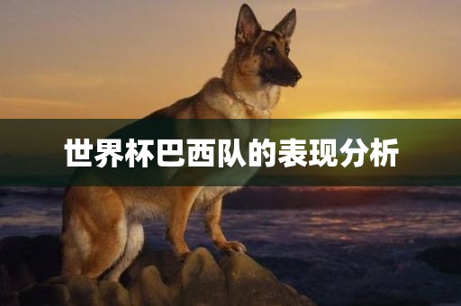 世界杯巴西队的表现分析