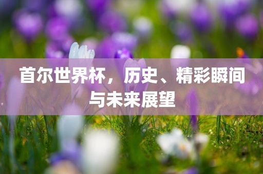 首尔世界杯，历史、精彩瞬间与未来展望