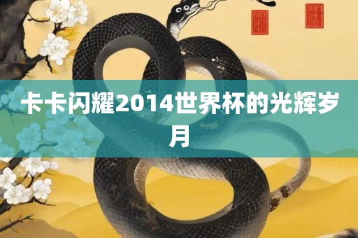 卡卡闪耀2014世界杯的光辉吉安市靖泰电力工程有限公司岁月