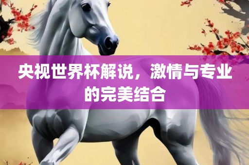 央视世界杯解说，激情与专业的完美结合