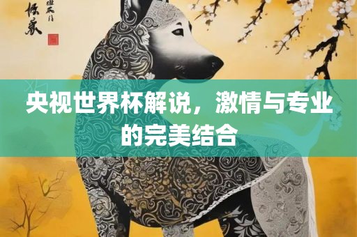 央视世界杯解说，激情与专业的完美结合