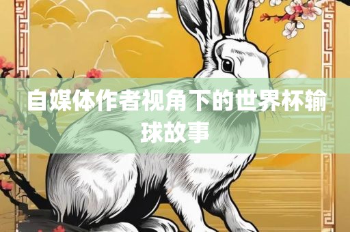自媒体作者视角下的世界杯输球故事