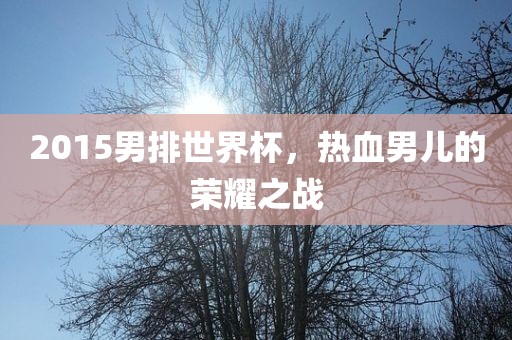 2015男排世界杯，热血男儿的荣耀之战吉安市靖泰电力工程有限公司
