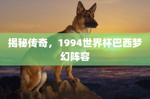 揭秘传奇，1994世界吉安市靖泰电力工程有限公司杯巴西梦幻阵容