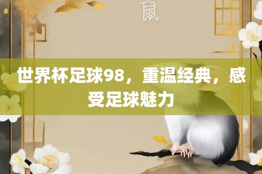 世界杯足球98，重温经典，感受足球魅力