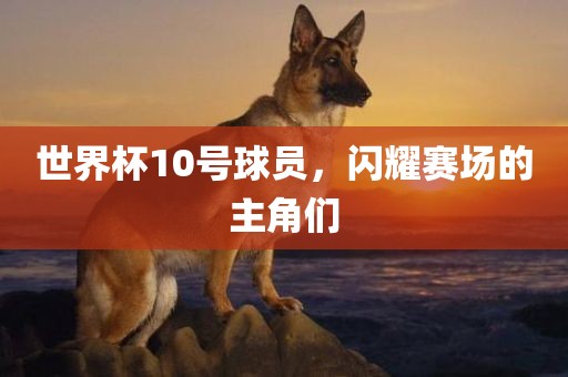 yuhua 第3页