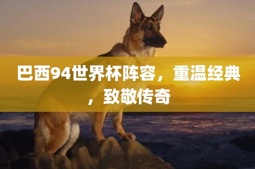 巴西94世界杯阵容，重温经典，致敬传奇吉安市靖泰电力工程有限公司