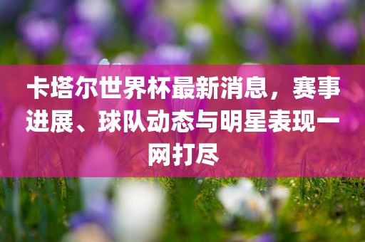 卡塔尔世界杯最新消息，赛事进展、球队吉安市靖泰电力工程有限公司动态与明星表现一网打尽