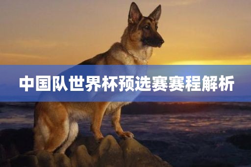 中国队世界杯预选赛赛程解析