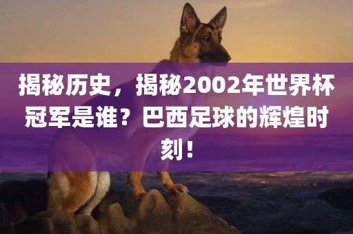 揭秘历史，揭秘2002年世界杯冠军是谁？巴西足球的辉煌时刻！