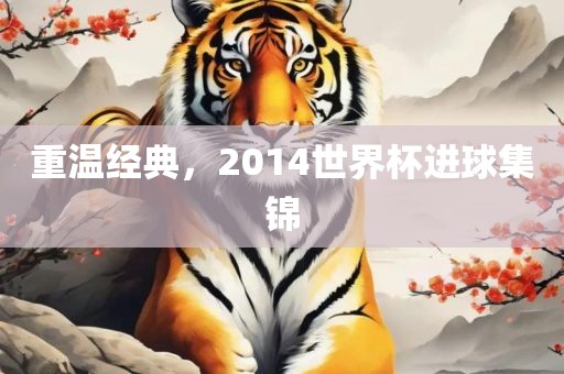 重温经典，2014世界杯进球集锦