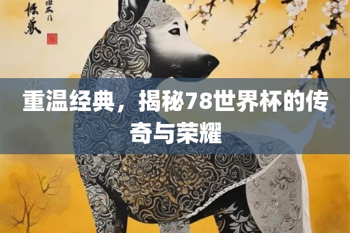 重温经典，揭秘78世界杯的传奇与荣耀