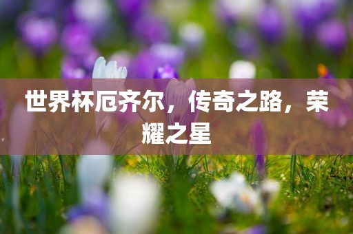 世界杯厄齐尔，传奇之路，荣耀之星