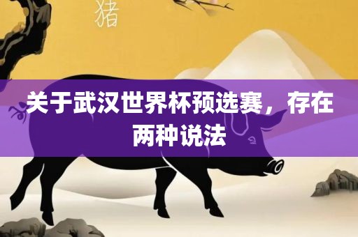 关于武汉世界杯预选赛，存在两种说法吉安市靖泰电力工程有限公司