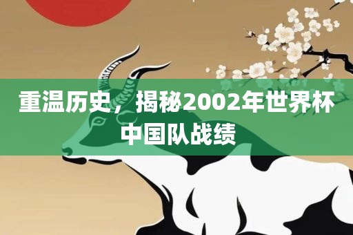 重温历史，揭秘2002年世界杯中国队战绩吉安市靖泰电力工程有限公司