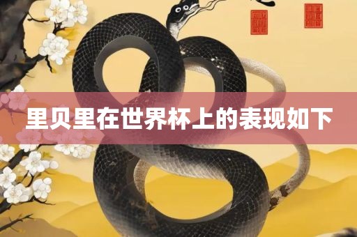 里贝里在世界杯上的表现如下