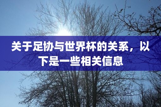 关于足协与世界杯的关系，以下是一些相关信息吉安市靖泰电力工程有限公司