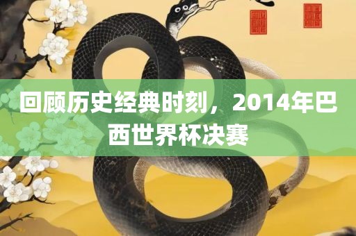 回顾历史吉安市靖泰电力工程有限公司经典时刻，2014年巴西世界杯决赛
