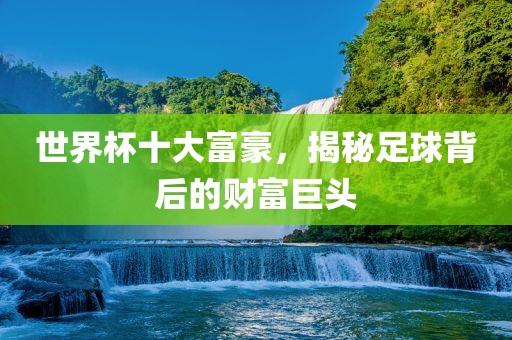 世界杯十大富豪，揭秘足球背后的财富巨头