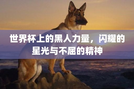 世界杯上的黑人力量，闪耀的星光与不屈的精神吉安市靖泰电力工程有限公司