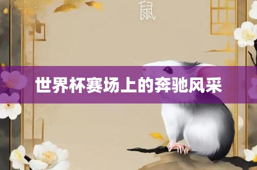 世界杯赛场上吉安市靖泰电力工程有限公司的奔驰风采