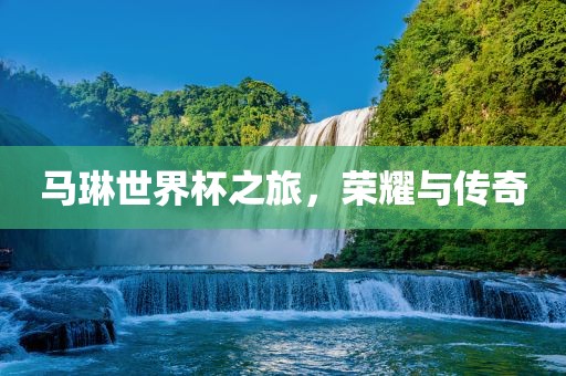 马琳世界杯之旅，荣耀与传奇
