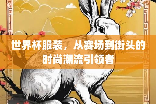 世界杯服装，从赛场到街头的时尚潮流引领者吉安市靖泰电力工程有限公司