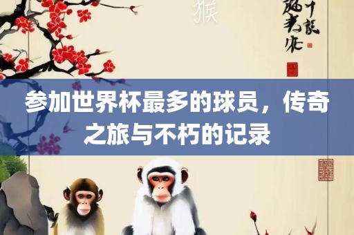 参加世界杯最多的球员，传奇之旅与不朽的记录吉安市靖泰电力工程有限公司