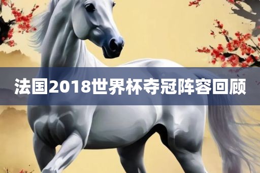 法国2018世界杯夺冠阵容回顾吉安市靖泰电力工程有限公司