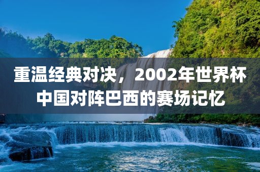 重温经典对决，2002年世界杯中国对阵巴西的赛场记忆吉安市靖泰电力工程有限公司