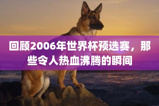 回顾2006年世界杯预选赛，那些令人热血沸腾的瞬间