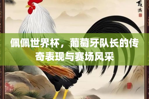 佩佩世界杯，葡萄牙队长的传奇表现与赛场风采吉安市靖泰电力工程有限公司