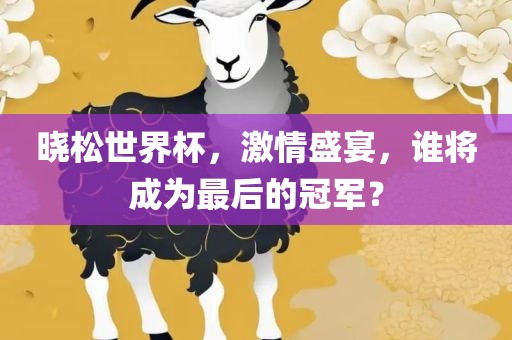 晓松世界杯，激情盛宴，谁将成为最后的冠军？
