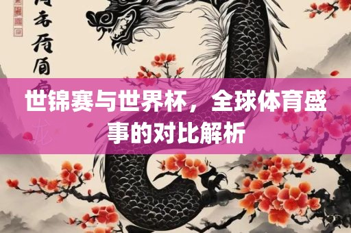 世锦赛与世界杯，全球体育盛事的对比解析