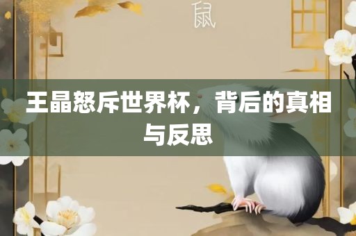 王晶怒斥世界杯，背后的真相与反思吉安市靖泰电力工程有限公司
