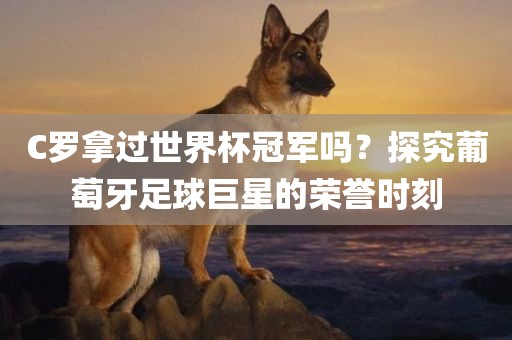 C罗拿过世界杯冠军吗？探究葡萄牙足球巨星的荣誉时刻吉安市靖泰电力工程有限公司