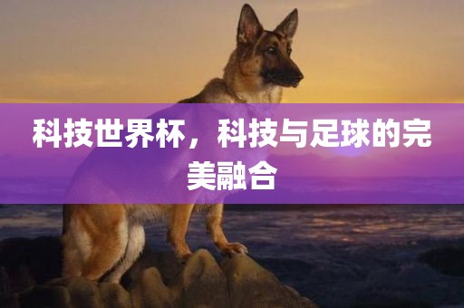 科技世界杯，科技与足球的完美融合