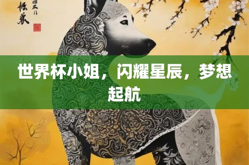 世界杯小姐，闪耀星辰，梦想起航