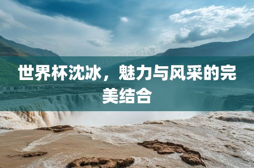 世界杯沈冰，魅力与风采的完美结合吉安市靖泰电力工程有限公司